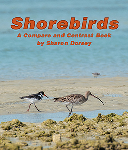 bookpage.php?id=Shorebirds