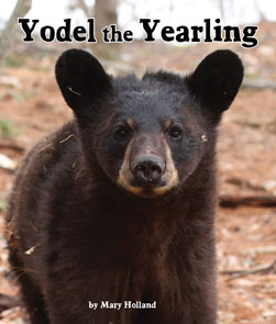 bookpage.php?id=Yodel
