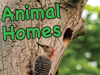 Animal Homes